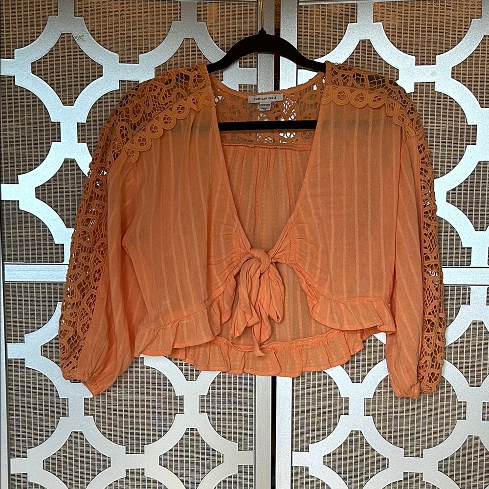 American Eagle Outfitters Orange Crop Blouse with Ruffled Tie Front